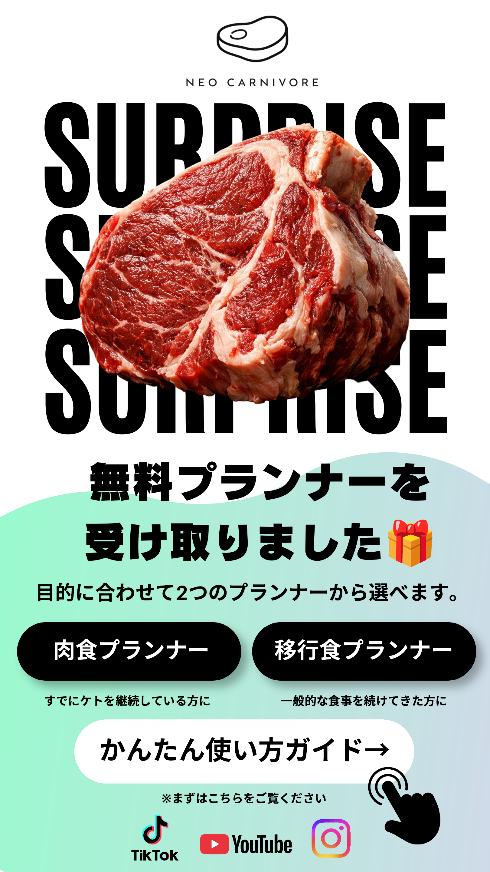 Neo Carnivore。目的に合わせて2つのプランナーから選べます。