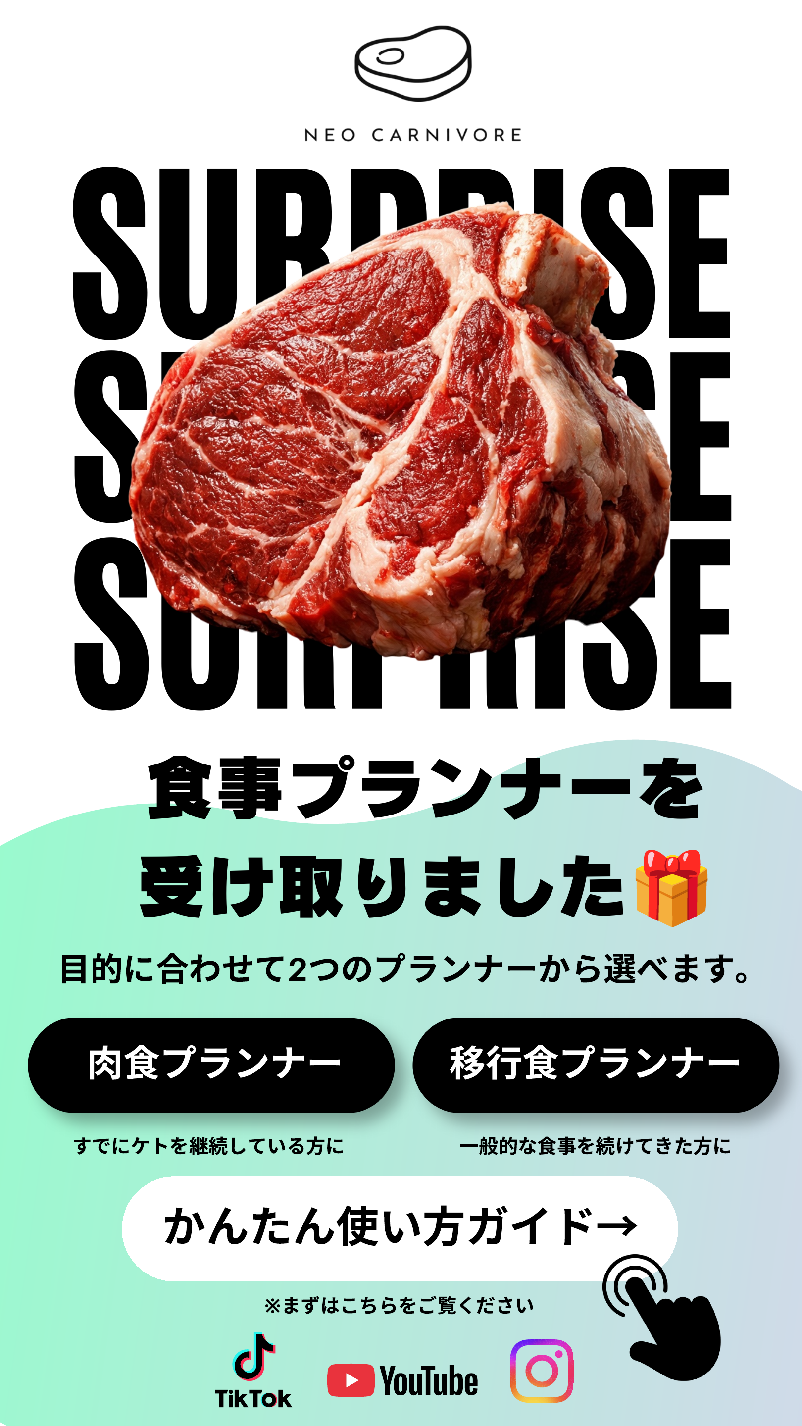 Neo Carnivore。目的に合わせて2つのプランナーから選べます。