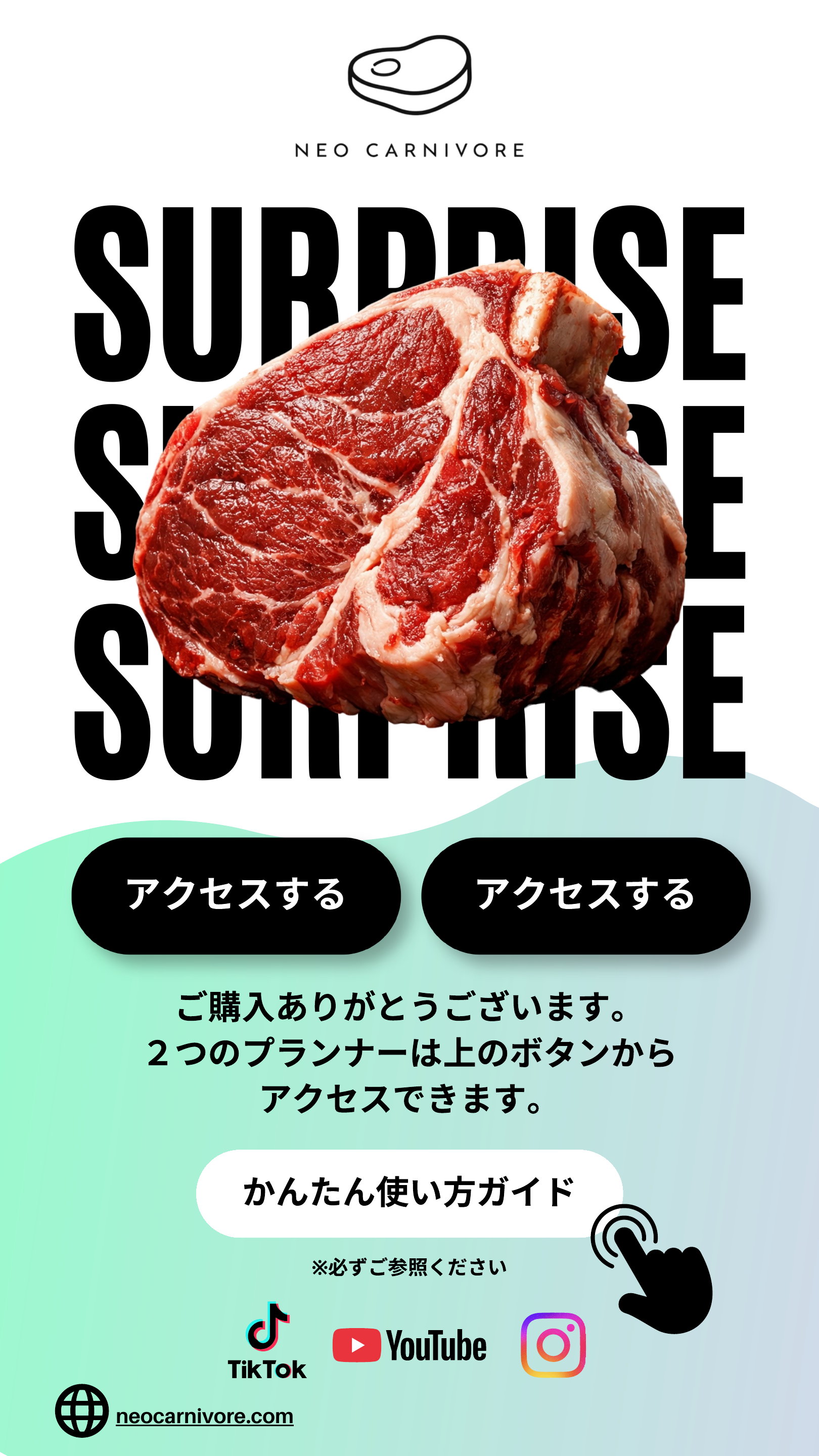Neo Carnivore Surprise。ご購入ありがとうございます。2つのプランナーと使い方ガイドは各ボタンからアクセスできます。